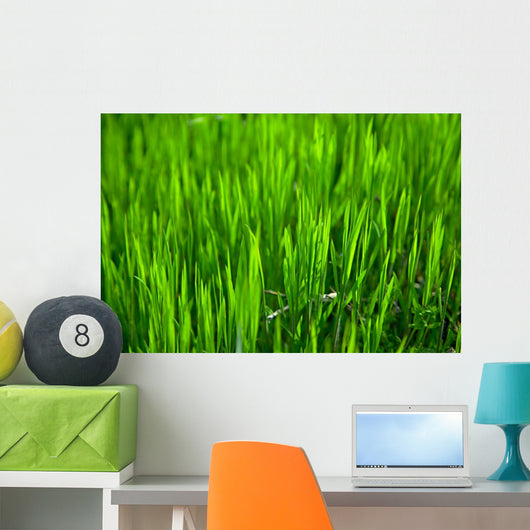 Grass Wall Mural