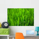 Grass Wall Mural