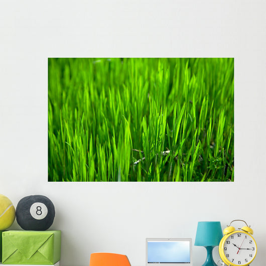 Grass Wall Mural
