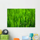 Grass Wall Mural