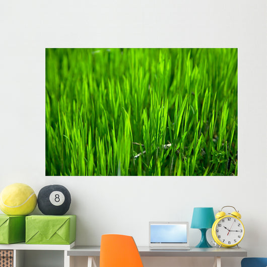 Grass Wall Mural