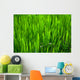 Grass Wall Mural