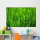 Grass Wall Mural