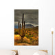 desert saguaro 81 Wall Mural