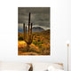 desert saguaro 81 Wall Mural
