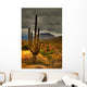 desert saguaro 81 Wall Mural