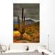 desert saguaro 81 Wall Mural