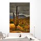 desert saguaro 81 Wall Mural
