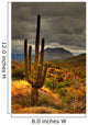 desert saguaro 81 Wall Mural