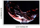 Closeup Red Wine Pouring