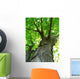 Maple Tree Wall Mural