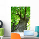 Maple Tree Wall Mural