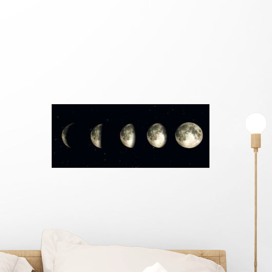 Night Time Moon Wall Decal