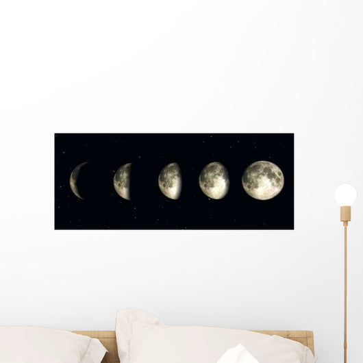 Night Time Moon Wall Decal