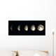 Night Time Moon Wall Decal
