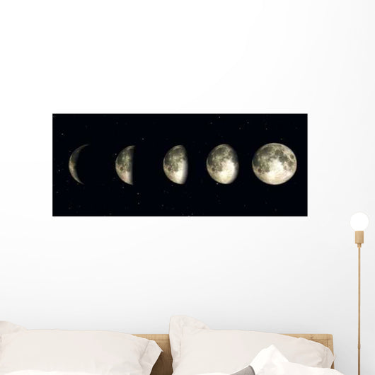 Night Time Moon Wall Decal