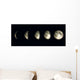 Night Time Moon Wall Decal