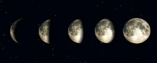Night Time Moon Wall Decal