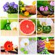 Wellness Spa Collage Blten