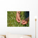 Ble Presque Mur Wall Decal