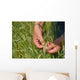 Ble Presque Mur Wall Decal