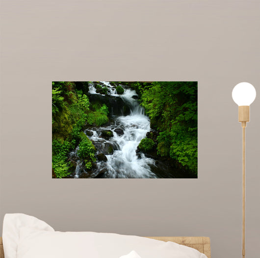 Wahkeena Falls Wall Mural
