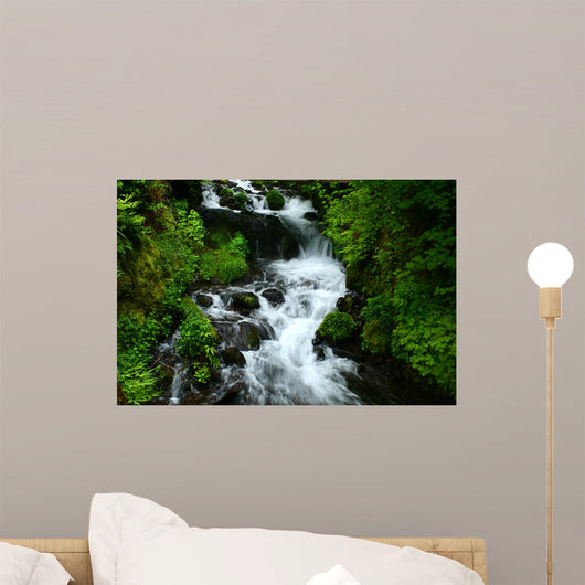 wahkeena falls Wall Mural