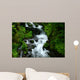 wahkeena falls Wall Mural