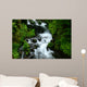 wahkeena falls Wall Mural