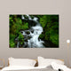 wahkeena falls Wall Mural