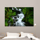 wahkeena falls Wall Mural