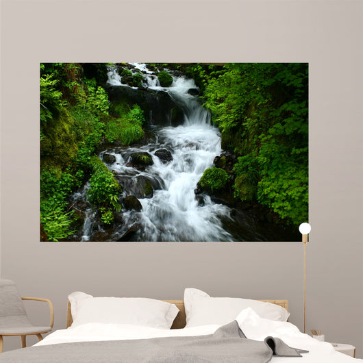 wahkeena falls Wall Mural