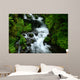 wahkeena falls Wall Mural