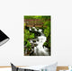 bridge over wahkeena falls Wall Mural