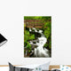 bridge over wahkeena falls Wall Mural