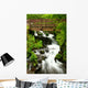 bridge over wahkeena falls Wall Mural