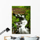 bridge over wahkeena falls Wall Mural