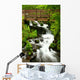 bridge over wahkeena falls Wall Mural