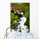 bridge over wahkeena falls Wall Mural