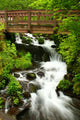 bridge over wahkeena falls Wall Mural