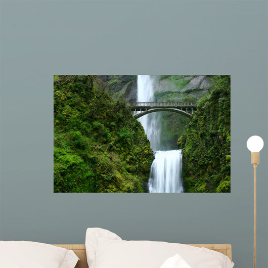 multnomah falls Wall Mural
