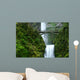 multnomah falls Wall Mural