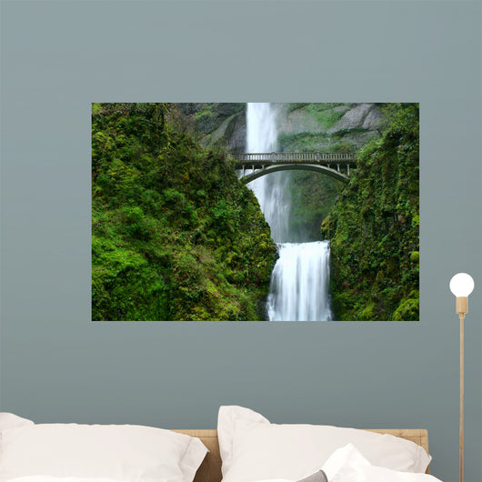 multnomah falls Wall Mural