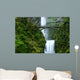 multnomah falls Wall Mural