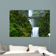 multnomah falls Wall Mural
