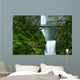 multnomah falls Wall Mural