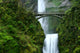 multnomah falls Wall Mural