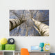 Winter Birches White Rime