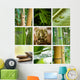 Composition zen ganesh Wall Mural