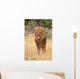 Lion king Wall Mural